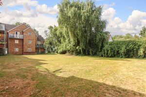 Photo 10- click for photo gallery